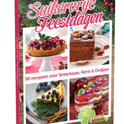 suikervrije-feestdagen-e-book